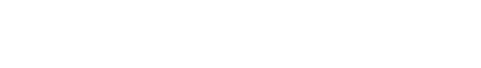 Logo 9